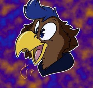 Nashawk