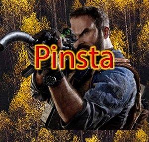 Pinsta