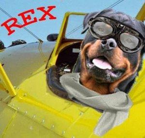 Rexo
