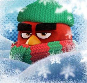 Angry Birds Gaming