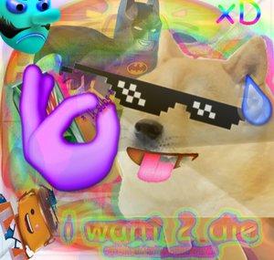 DerJaroVideo