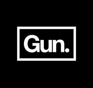 Gun