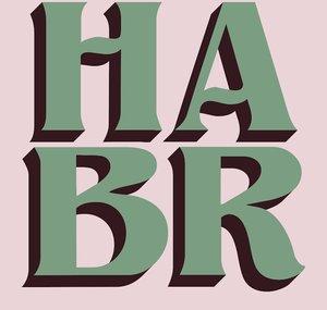 Half Ass Beer Review