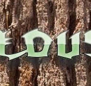 MarvelousBirch
