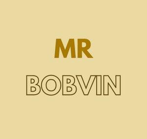 Mr Bobvin
