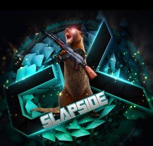 mrslapside