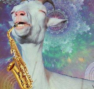 space goat v1.3.37