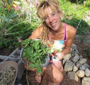 Starry Sustainable Living With God