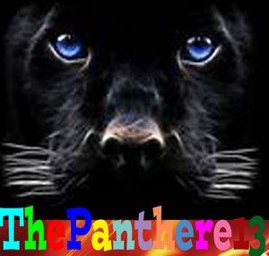 ThePanthere13