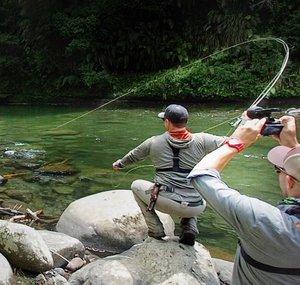 Trout Hunting NZ