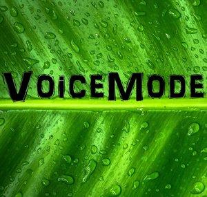 VoiceMode