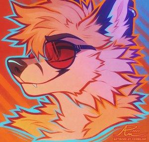 Aviators