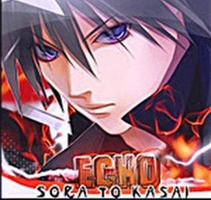Echo STK