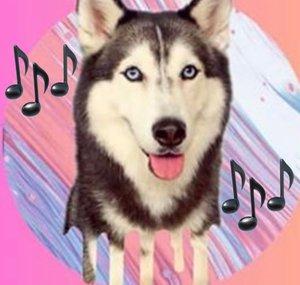 Meeka Therapy 