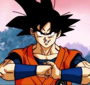 Mr.Gokuzinh