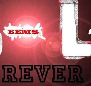 Seemslikeforeverband