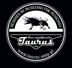 TaurusAmp