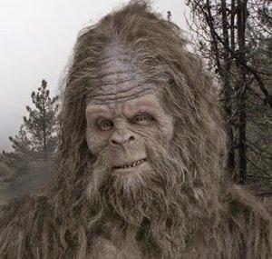 Tyler Sasquatch