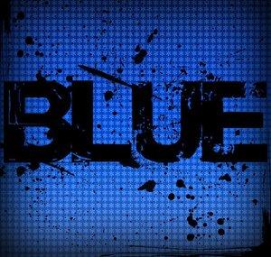 Blue B15