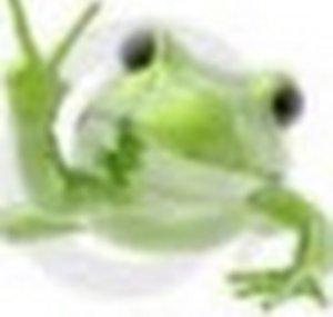 Frogman79