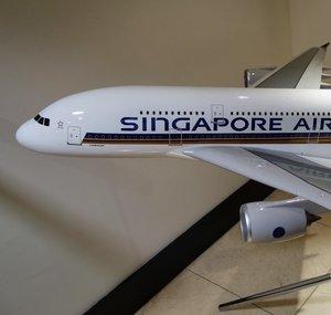 guitar singapore travels Rapture! 