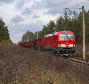 koorchak1