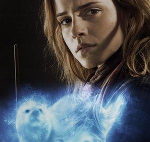 LiPotterLy