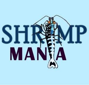 Shrimp Mania Daily 