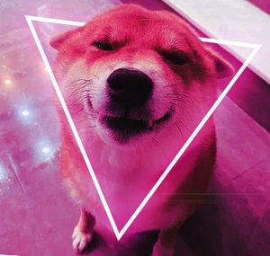 SquishyShibe