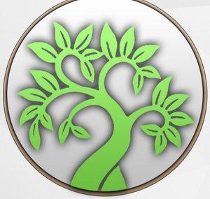 Stem Digital