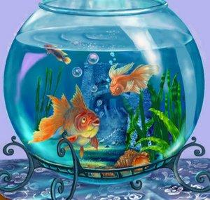 World of pets UA