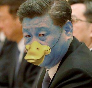 XiJinpinguinEnte