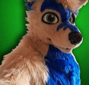Azulwolf