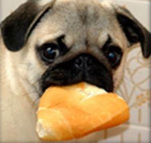 Cuerbolillo