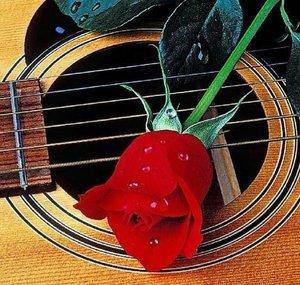 Guitar Seasons