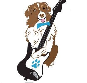 K9s Rock Dog Training
