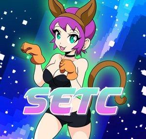 SETC