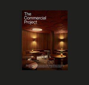 The Commercial Project