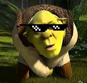 Tod Dankis