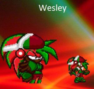 WesleyDaUrbanhog