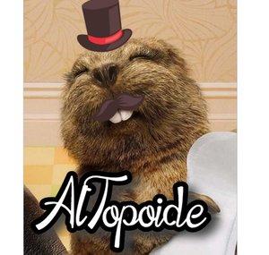 AlTopoide