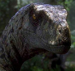 AshenRaptor