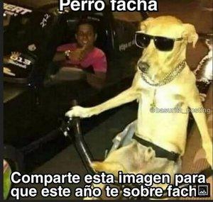 Jeremías 11