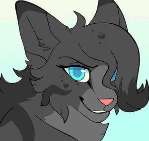MidnightKiiitty