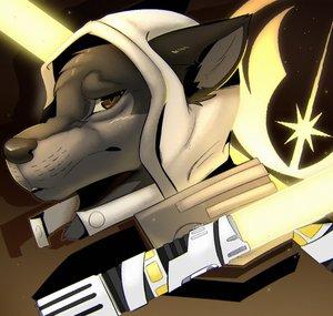 Rogue Wolf