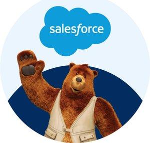 Salesforce Developers