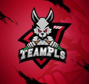 TeamPls