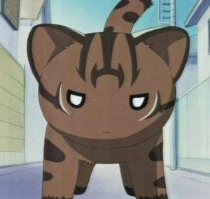 CATTILLUMINATI
