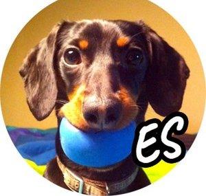 Crusoe el Perro Salchicha