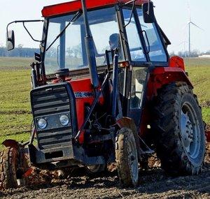 Dominik152002